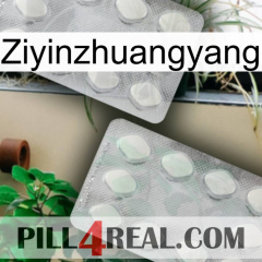 Ziyinzhuangyang 17
